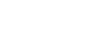 Victorian Village logo